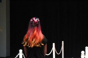 Hair Show 11